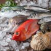 Top 10 Healthy Fish To Add To Your Diet